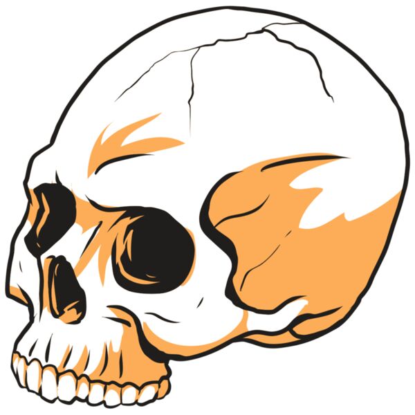 AR24 SKULL 13 RQC Thumbnail