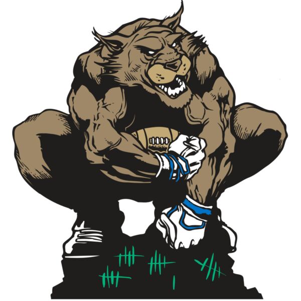 AR WILDCAT 34 RC Thumbnail