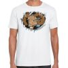 Mens Softstyle Tee Shirt Thumbnail
